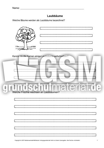 Arbeitsblatt-Laubbäume-1.pdf